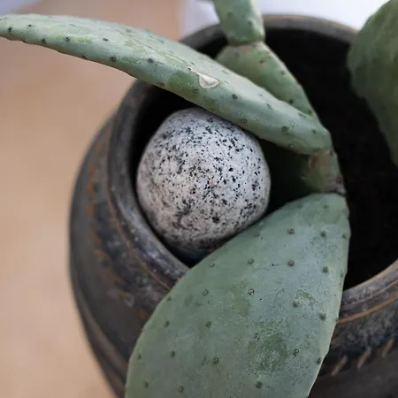 Silven By Silvernoses, Little Venice, Mykonos Town * Mykonos Town