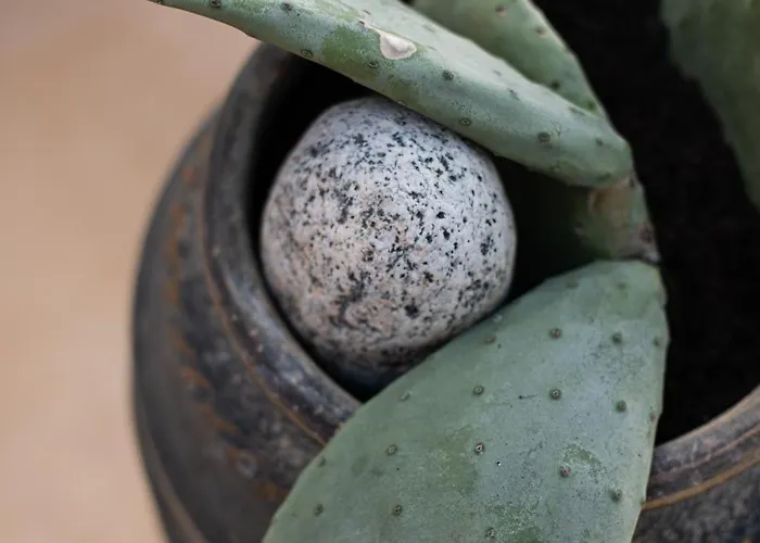 Silven By Silvernoses, Little Venice, * Mykonos Town